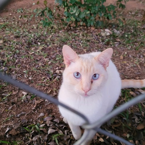 Restart again (prod.4suruu)