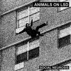 Social Neurosis