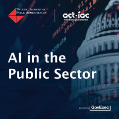 AI and Citizen Services