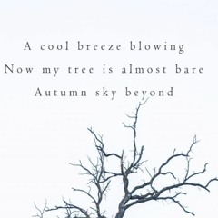 Bare Autumn Sky [NaviarHaiku415]