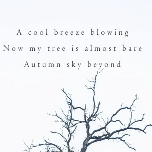 Bare Autumn Sky [NaviarHaiku415]