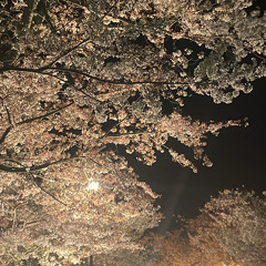 言わなくても伝わると思ってたよ 言わなくても伝わると思ってたよ/クリープハイプ 廃盤CD - メルカリ