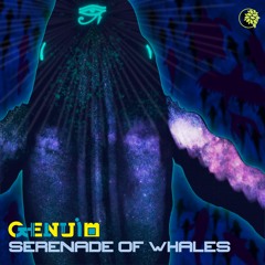 Genuim - Serenade Of Whales (Original Mix)