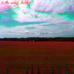In The Windy Fields (Deluxe)