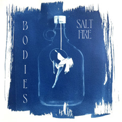 Bodies
