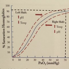 Cat Disgusted Episode 40, My Own Update, Pulse Oximetry and COVID-19
