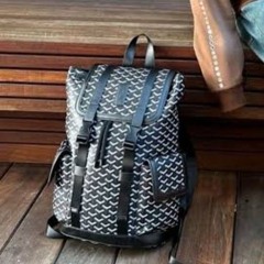 goyard bag