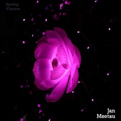 Jan Msetau - Spring Flavors