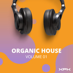 Organic House Journey Sunset Vibes - DJ Mix 2025 | Vol. 1