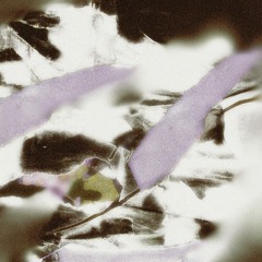 Portway - Iridium