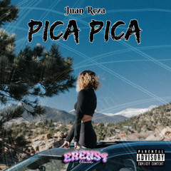 Pica Pica (Erenst Remix)