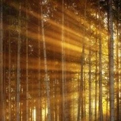 Faden im Licht