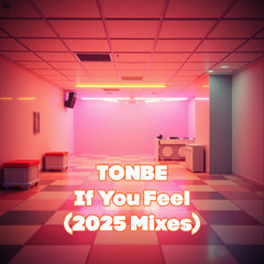 Tonbe - If You Feel (Soulful Deep Mix)