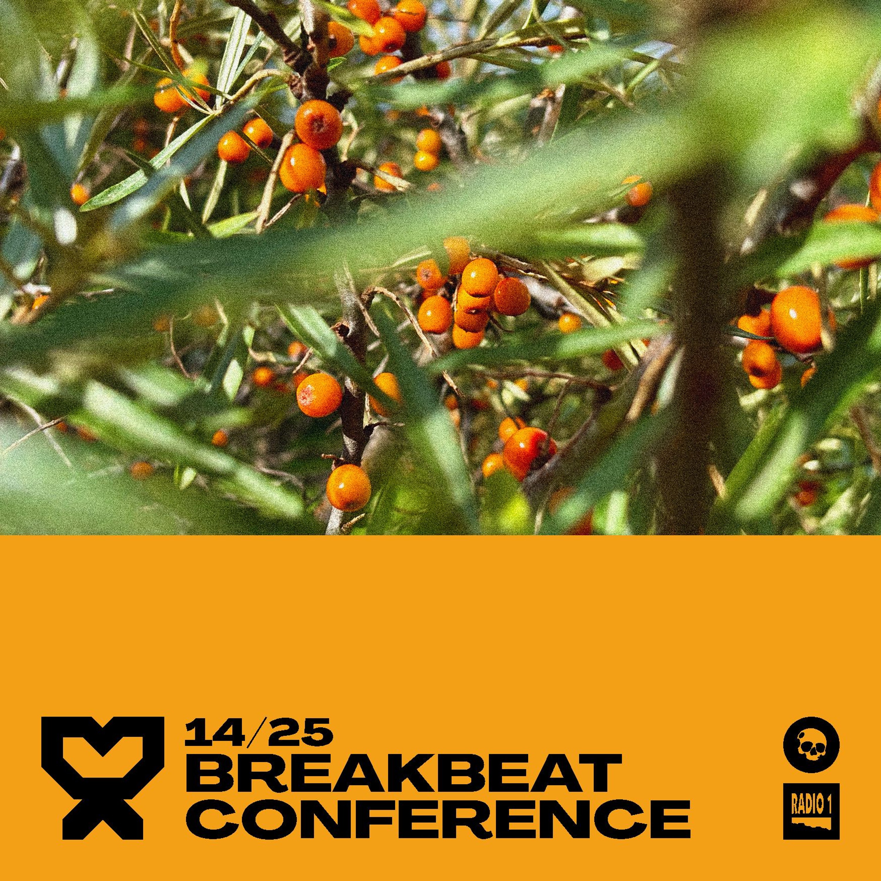Breakbeat Conference