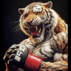Sas_Is_Gonna_Knock_You_Out ( The Sas Anthem Mix )