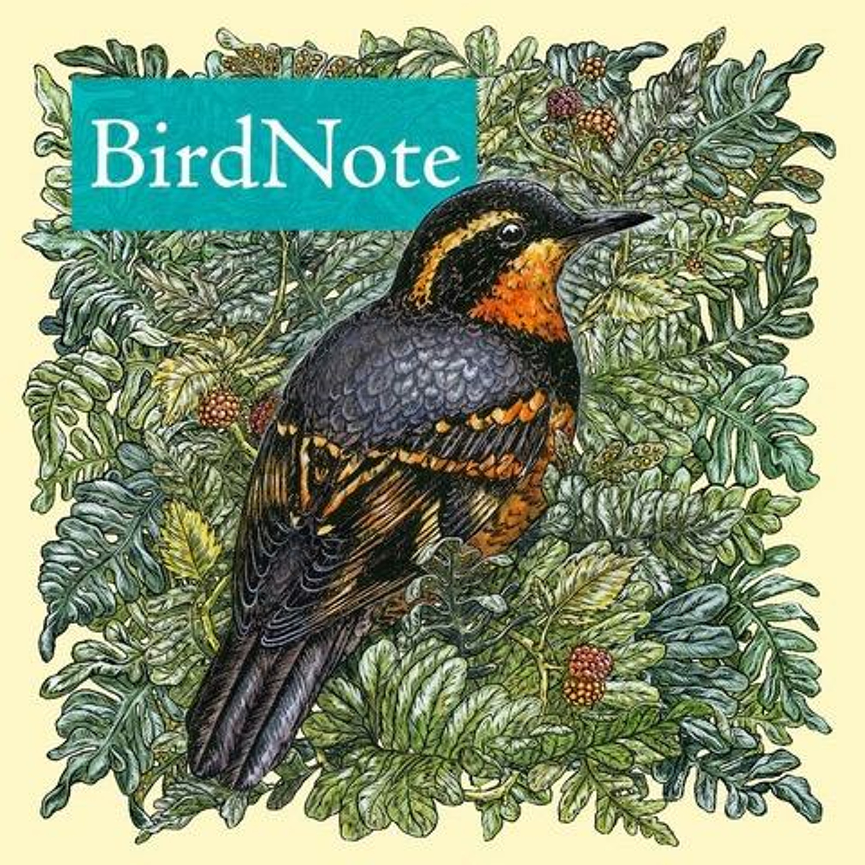 BirdNote