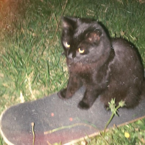 brugada [Prod. 8een x Andre Lor]