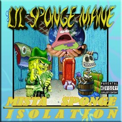 Sponge Shit - Lil Sponge Mane