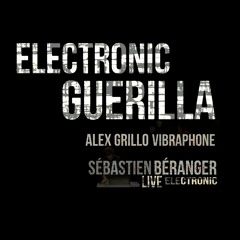 Sébastien BERANGER & Alex GRILLO - Electronic Guerilla @ 201104 Césaré (extraits)