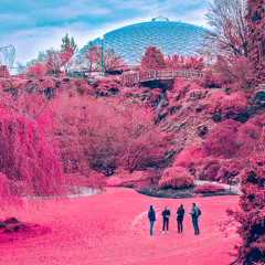 Why Do I Wait (When I Know You've Got a Lover)