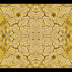 Quantum Sonics - Alex Wolfenden - 4th December 2021