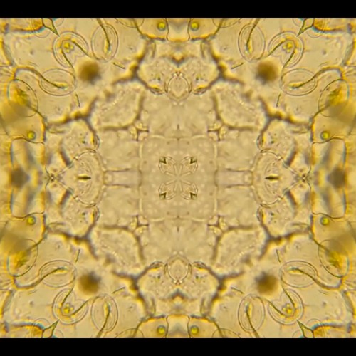 Quantum Sonics - Alex Wolfenden - 4th December 2021