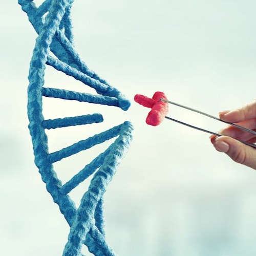 Kate Shemirani On Genetic Technology (Precision Breeding) Act & Methylene Blue