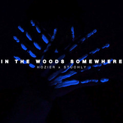 Hozier - In The Woods Somewhere (STUCHLY Remix) [Extended Mix]