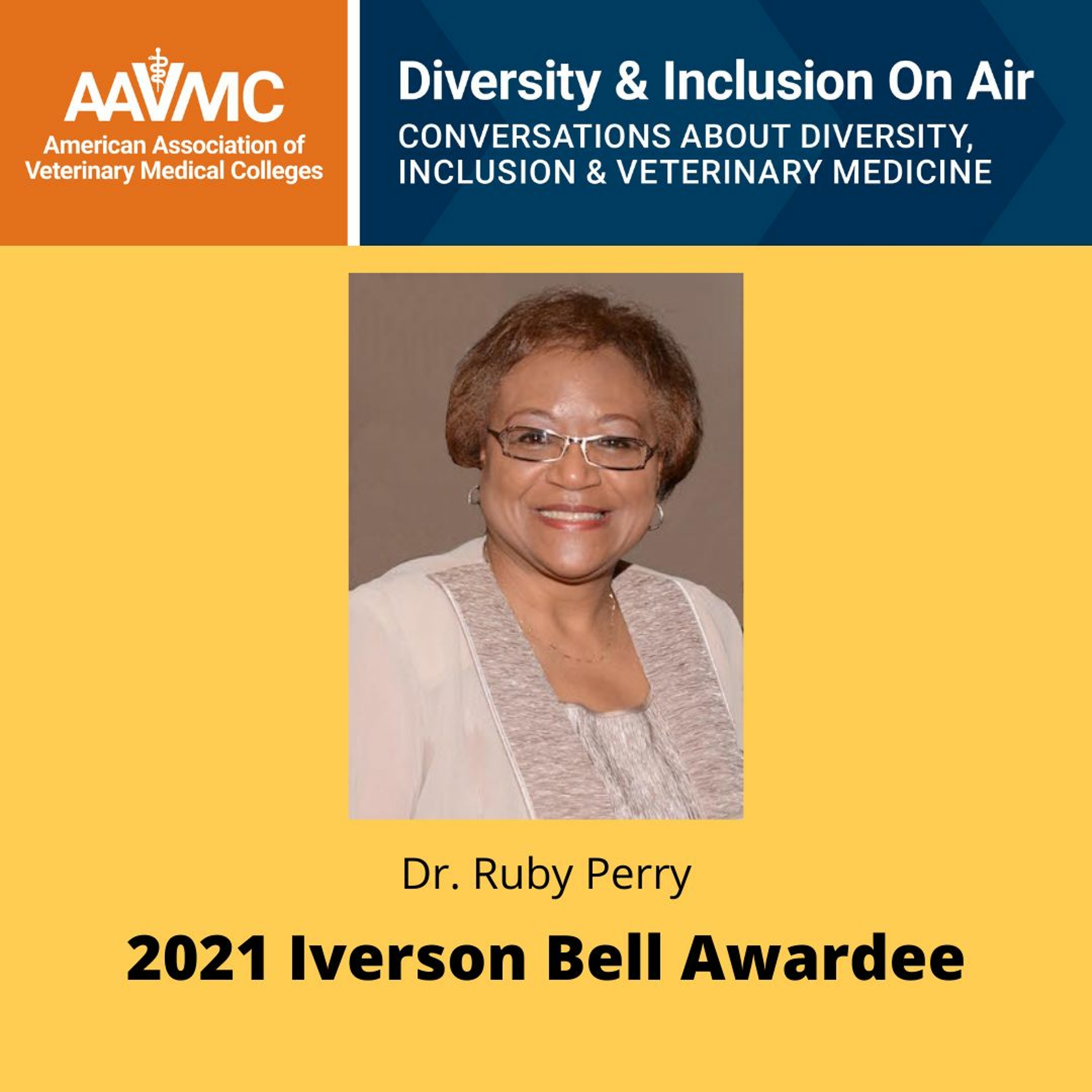 AAVMC\'s On Air: Conversations about Issues in Veterinary Medicine