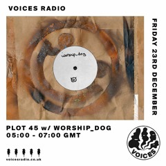 Plot 45 w/ worship dog on Voices Radio — 23rd December 2022