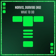 Norvis, DubVibe - What To Do