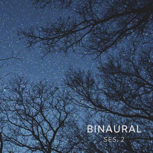 Binaural Beats Isochronic Tones Lab Pt 9