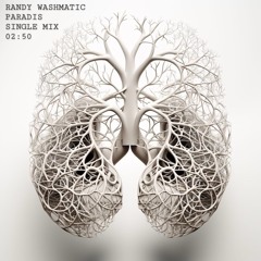 PARADIS (single mix)