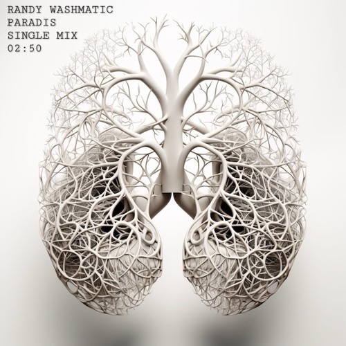 PARADIS (single mix)
