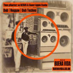 Thee pHactory w/dESUS & Guest Apjok Csaba 042