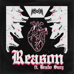 Reason (ft. Brado Sanz)
