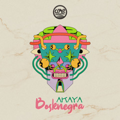 Akaya (Original Mix) EXTENDED