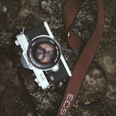 Wolfnahta Shutter Kings & Queens - Shanghai Monsoon  Noon