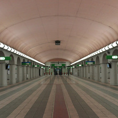 The Phoenix From The Flame