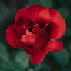 ℒøνє 𝓶є (𝓵įкε ɪ 𝓛øνє үøυ)