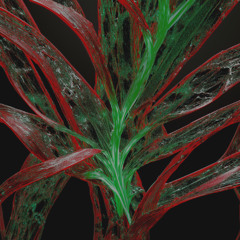 As a plant