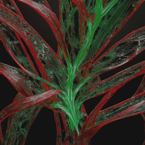 As a plant