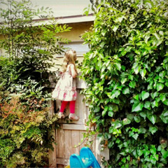 Yesterday’s Advice - love stained with cruel remarks