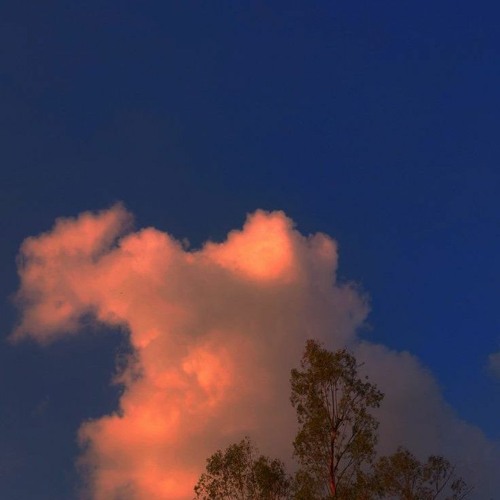 Te amo como nunca amei ninguém