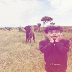 Horseplaying (Lazer Rock)