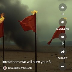 forefathers-(we-will-burn-your-flag-mix).mp3