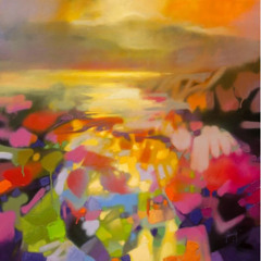 vibrance approaching concerto