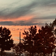 Flowers Original.mp3