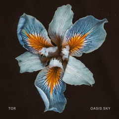 Premiere: TOR - Foxglove (Original Mix)