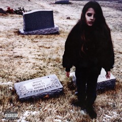 Crystal Castles - Untrust Us (Instrumental) (EDIT)